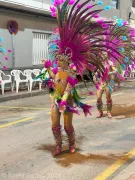carnaval-de-Mula-2024-9-Copiar