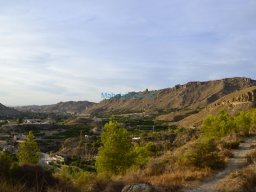 Castillo y ciudad de Blanca 2013