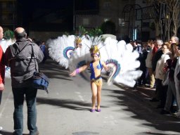 Carnaval de Mula 2009