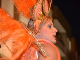Carnaval de Mula 2012