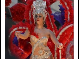 Carnaval de Mula 2014