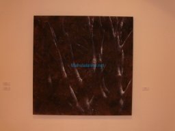 Exposición Crom 2008