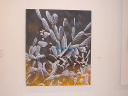 Exposición Crom 2008