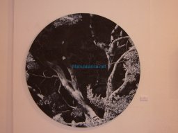 Exposición Crom 2008