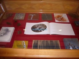 Exposición Crom 2008