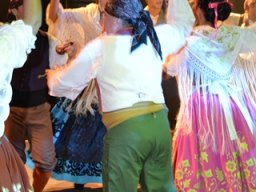 Festival de Folkore en Mula