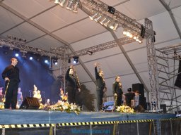 Festival de Folkore en Mula