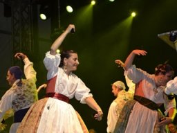 Festival de Folkore en Mula