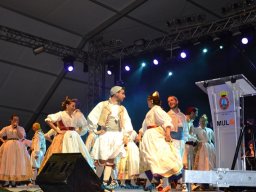 Festival de Folkore en Mula