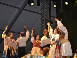 Festival de Folkore en Mula