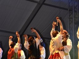 Festival de Folkore en Mula