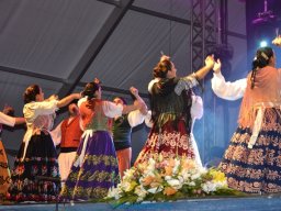 Festival de Folkore en Mula