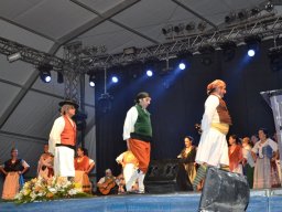 Festival de Folkore en Mula