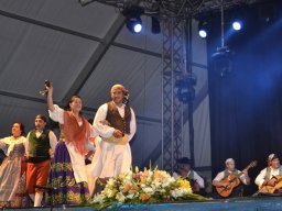 Festival de Folkore en Mula