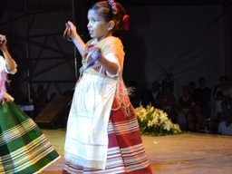 Festival de Folkore en Mula