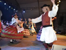Festival de Folkore en Mula