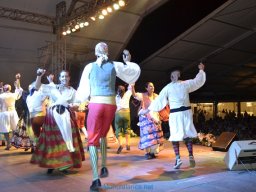 Festival de Folkore en Mula