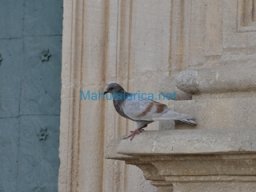 Santuario de la Fuensanta 2014