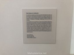 Exposición Memoria y Encuentro 2023