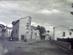 Mula Antigua