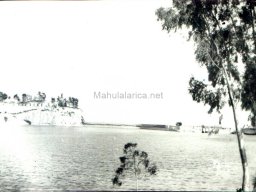 Mula Antigua serie-2