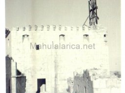 Mula Antigua serie-2