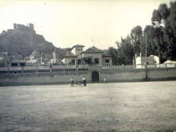Mula Antigua serie-2