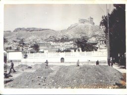 Mula Antigua serie-2