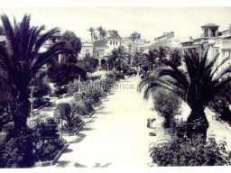 Mula Antigua serie-2