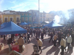 Fotos Noticias 2009