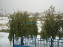 Fotos Noticias 2009