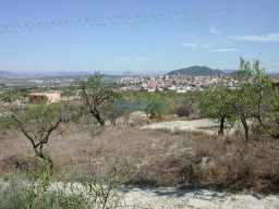 Fotos Noticias 2009