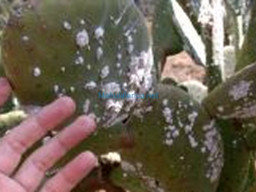 Fotos Noticias 2009