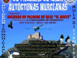 Fotos Noticias 2009