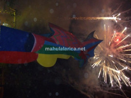 Fotos Noticias 2009
