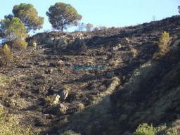 Fotos Noticias 2009