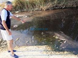Fotos Noticias 2009