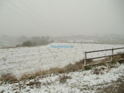 Fotos Noticias 2009