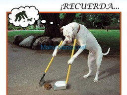 Fotos Noticias 2009