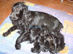 Fotos Noticias 2009