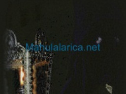 Fotos Noticias 2009