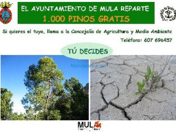 Fotos Noticias 2009