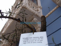Fotos Noticias 2010