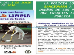 Fotos Noticias 2010