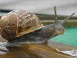 Fotos Noticias 2010