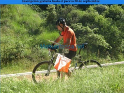 Fotos Noticias 2010