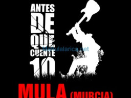 Fotos Noticias 2010