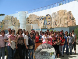 Fotos Noticias 2010
