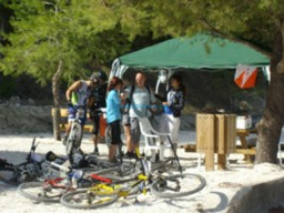 Fotos Noticias 2010