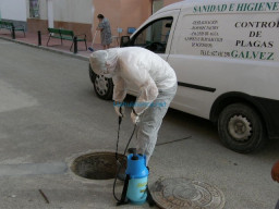 Fotos Noticias 2010